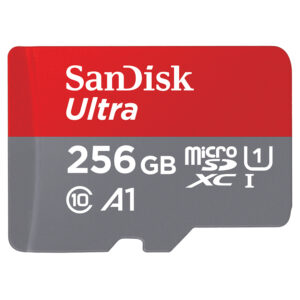 SanDisk 256GB Memory Card, A1, Class 10