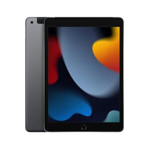 Apple 2021 10.2-inch (25.91 cm) iPad with A13 Bionic chip (Wi-Fi + Cellular, 256GB) - Space Grey (9th Generation)